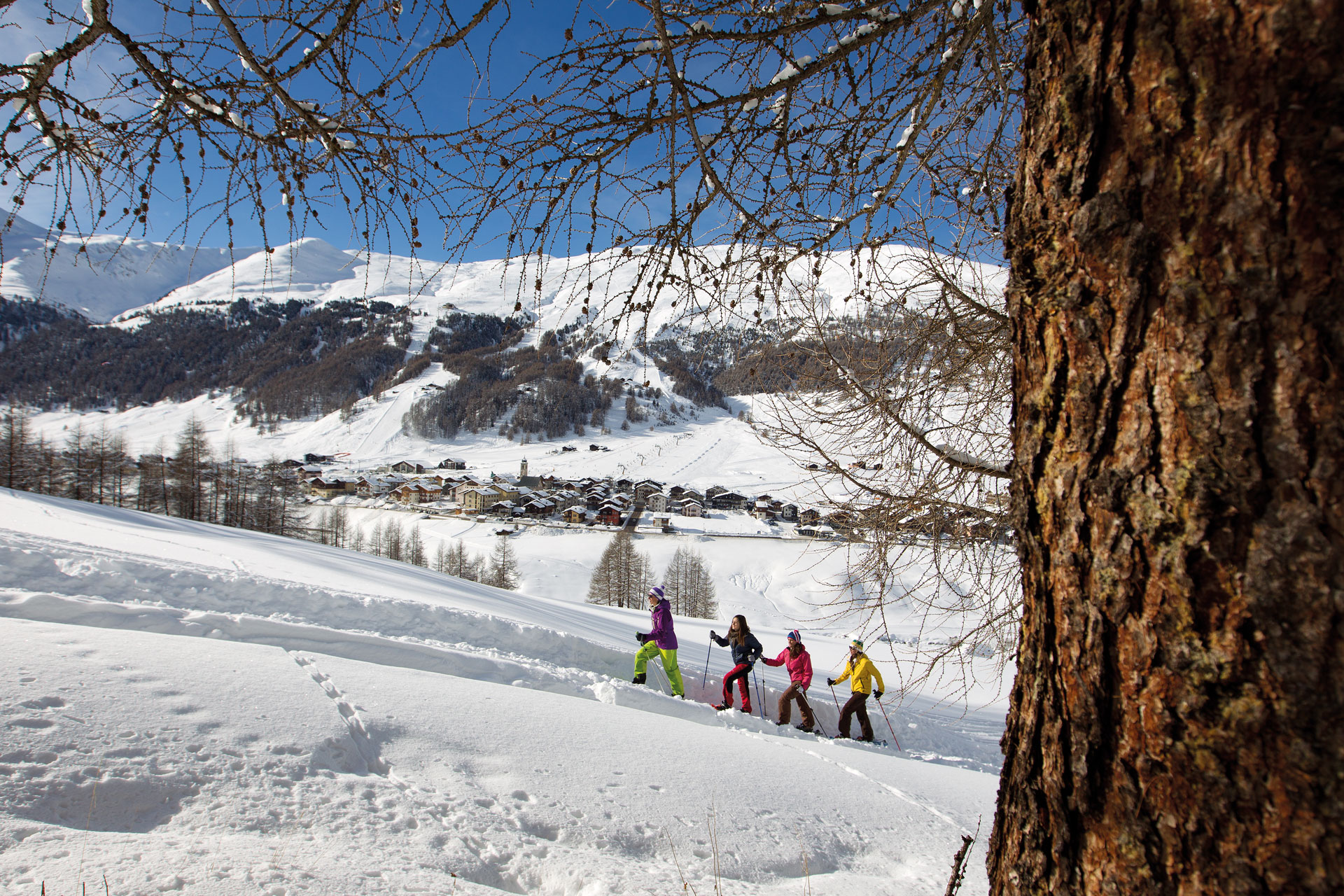 neve-doc-livigno-rivista-scimagazine-gennaio-2015-ciaspole-roberto_trabucchi-2119