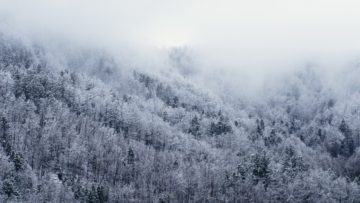 neve_bosco_20171112