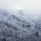 neve_bosco_20171112