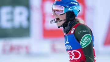 shiffrinlienz030120