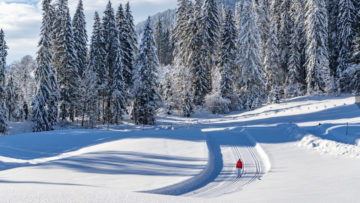 kitzbuehel110320