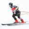 ALPINE SKIING – FIS WC Hinterstoder