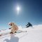 Sonnenkifahren Stubaier Gletscher 01-c- Andre Schoenherr