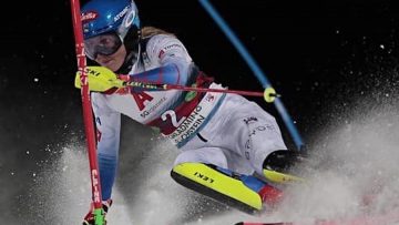 shiffrin110122