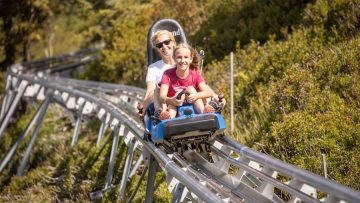 Alpbachtaler_Lauser-Sauser_am_Wiedersberger_Horn_Alpbach_Sommer