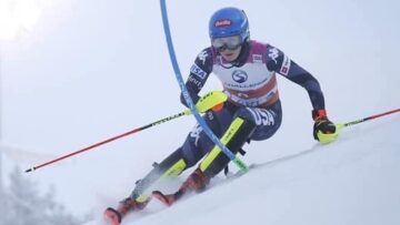 shiffrin191122