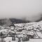 torgnon061222
