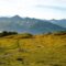 Pila_Bike_15