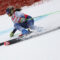 brignone110124