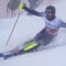 salaadelboden130124